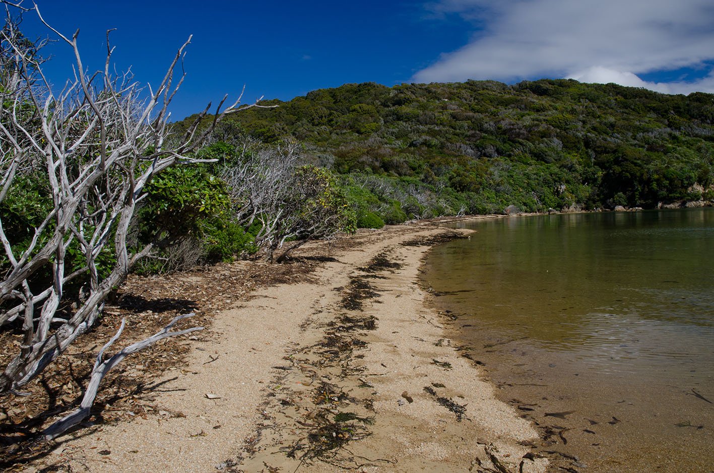 Boulder Beach in Ulva Island. Rakiura National Park. New Zealand.